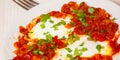 Eggs poached in a sauce of tomatoes, chili peppers, and onions Royalty Free Stock Photo