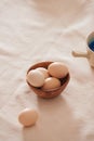 Eggs preparing paint for easter day