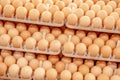 Lot of eggs on tray from breeders farm. Royalty Free Stock Photo