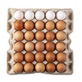 30 eggs raw in a carton box on white background. Thirty fresh chicken eggs. File contains clipping path Royalty Free Stock Photo