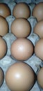 Eggs ready to be marketed for eat good