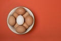 Eggs on a red background