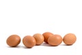 Eggs in a row Royalty Free Stock Photo