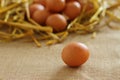 Raw rural brown eggs Royalty Free Stock Photo