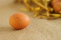 Raw rural brown eggs Royalty Free Stock Photo