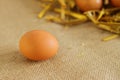 Raw rural brown eggs Royalty Free Stock Photo