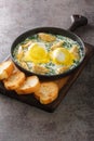 Eggs Sardou is a Louisiana Creole cuisine dish made with poached eggs, artichoke bottoms, creamed spinach and Hollandaise sauce Royalty Free Stock Photo