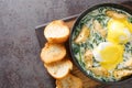 Eggs Sardou New Orleans brunch recipe made with poached eggs, served artichoke and creamed spinach and topped with Hollandaise Royalty Free Stock Photo