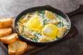 Eggs Sardou New Orleans brunch recipe made with poached eggs, served artichoke and creamed spinach and topped with Hollandaise Royalty Free Stock Photo