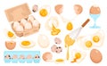 Eggs set, whole fresh, fried or boiled egg in shell or peeled, cut in half and quarter