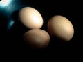 Eggs Royalty Free Stock Photo
