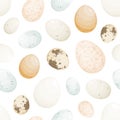 Eggs in shell seamless pattern. Different birds reproductive cells, avian gametes. Diet products, healthy nutrition