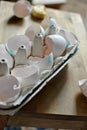 Eggs shells in a carton Royalty Free Stock Photo