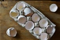 Eggs shells in a carton Royalty Free Stock Photo