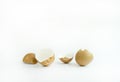 Eggs shells on white background Royalty Free Stock Photo