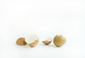 Eggs shells on white background