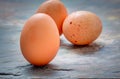Eggs shot an a stone background Royalty Free Stock Photo