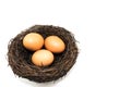 Eggs in the small artificial bird nest Royalty Free Stock Photo