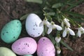 Eggs,snowdrop flowers, spring time in forest, background. Easter composition. Greeting card design, postcard. hunting eggs Royalty Free Stock Photo