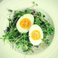 Eggs with sprouts on plate (instagram filter) Royalty Free Stock Photo