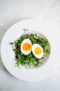 Eggs with sprouts on plate Royalty Free Stock Photo