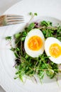 Eggs with sprouts on plate Royalty Free Stock Photo