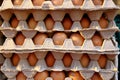 Eggs in stacks of egg tray Royalty Free Stock Photo