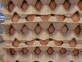 Eggs in stacks of egg tray Royalty Free Stock Photo