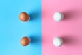 Eggs standing on egg cup on blue and pink pastel background, copy space. Boiled eggs in stand on paper background with two tone Royalty Free Stock Photo