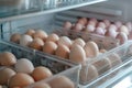 Eggs are stored in plastic containers inside the fridge Royalty Free Stock Photo