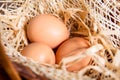 Eggs in the straw and basket