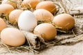 Eggs in the straw lie on sacking Royalty Free Stock Photo