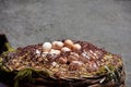 Eggs in a street of India Royalty Free Stock Photo