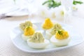 Eggs stuffed with cheese and avocado mousse on festive table