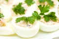 Eggs stuffed with red fish on plate Royalty Free Stock Photo