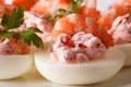 Eggs stuffed with shrimp, cheese and caviar macro. horizontal