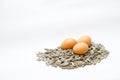 Eggs with sunflower seeds white background Royalty Free Stock Photo