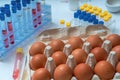 Eggs are tested in laboratory for germs. Inspection concept. Royalty Free Stock Photo