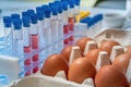 Eggs are tested for salmonella in laboratory. Food safety research. Royalty Free Stock Photo
