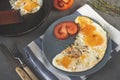 Eggs with tomato on a plate on a towel, knife and fork on a gray background Royalty Free Stock Photo