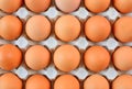 Eggs tray close-up.