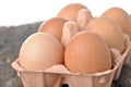 Eggs in a tray on a wooden table. Royalty Free Stock Photo