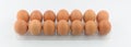 Eggs in two row