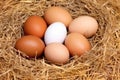 eggs of various brown shades on straw
