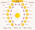 Eggs vector infographics.