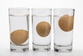 Eggs in water test on transparent glass , Egg freshness test on white background , Bad egg floats in water Royalty Free Stock Photo