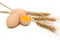 Eggs and wheat ear