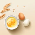 Eggs and wheat illustration for ads Royalty Free Stock Photo