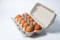 Eggs on a white background. Chicken eggs in a paper box Royalty Free Stock Photo