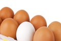 Eggs Royalty Free Stock Photo